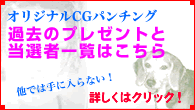 �p���`���O���^���v���[���g