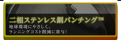 二相ステンレス鋼